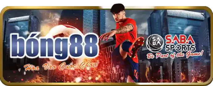 Cải tiến nền tảng 789f